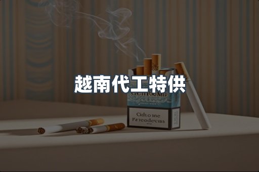 越南代工特供